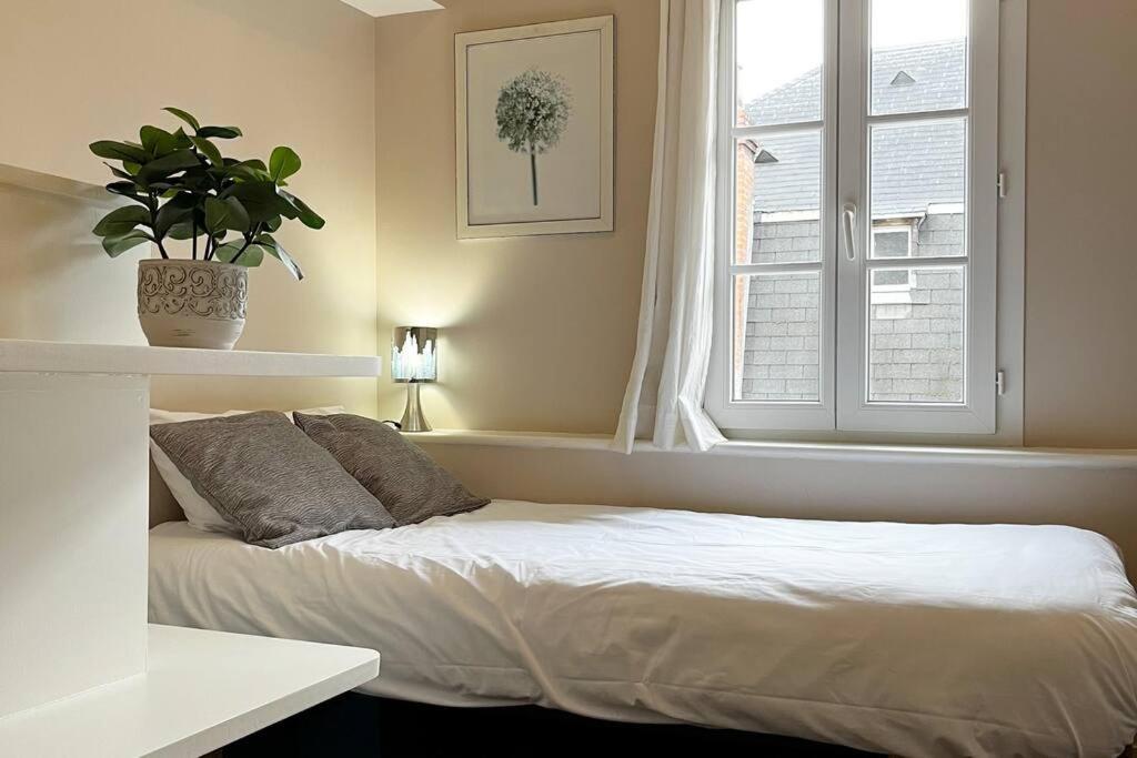 #le Maillard #grand F2 #hyper Centre Apartment Brive-la-Gaillarde
